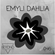 Emyli Dahlia - 0418 image