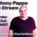 Anthony Pappa Live Stream 16th July 2022 image