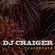 DJ Craiger: Celebration July 2013 image