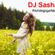 DJ Sasha R. - Frühlingsgefühle 2019 image