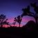 NYE 2019: Desert Sunsets image