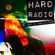 HARD RADIO ( mixed by Z(SALAMANDER) ) image
