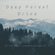 Deep Forest Drive - zoukable mixtape vol. 14 - deep and quiet beats image