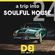A trip into Soulful House (Trip Twentyfour) - Soulful is touching classics image