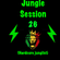 Jungle Session 26: Hardcore Junglist image