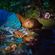 Astral Garden w/ Nailah Hunter - 26th December 2022 image