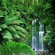 Rainforest Natural Sounds image