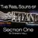 Real Titanic Disco 1994 1998 Section One (By Stefano Valli) image