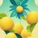 Chan & Sunsh B2B at Phi Garden // The Lemon Tree Camp Summer Party image