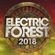 Jade Cicada 6/21/18 The Forest Stage, Electric Forest W1 2018 image
