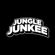 Jungle Junkee - 90s R&B Pop Up Mix image