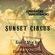Sunset Circus mixed by Contribute Translation - Episode 028 image