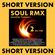 REMIX SOUL vol.2 60/70s short version (James Brown,Nina Simone,Eddie Kendricks,Emotions,...) image