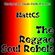 MattCs - Reggae Soul Rebels image