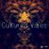 Cultured Vibes-mixed by Dj Vin image