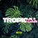 [ CESAR DJ ] - Mix Tropical #03 image