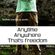 Anytime, Anywhere: That's freedom! (By Deejay Wunder) - Mixtape 30mins image
