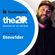 Steve1der: how DJ AM changed the game, DJing for Robert Downey Jr. | 20 Podcast image