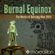 Burnal Equinox (Burning Man 2010) image