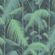 Canto de la Selva - Episode #99 image