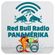 Red Bull Radio Panamérika 455 - Puro melao y panela image