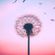 Spring - May 2020 image