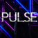 PULSE PODCAST - Squirrel Project 03 image