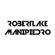 Robert Lake&Mani Piedro - promo mix image