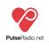 Neverdogs Pulse Radio Mix image