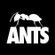 ANTS Radio Show 175 hosted by Francisco Allendes image