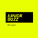 JuniorBuzz - D.S.U.B. MIX (dirty sexy urban beats) image