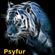 Psyfur Live at Furry Fiesta 2020 image