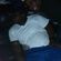 STUDIO 54 1983,PRINCIPAL GRUNDY,DADDY SANCHO.JOKEY RIDER,EKA MOUSE image