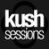 Seismic Noise DNB (KushSessions Guestmix) image