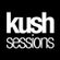 Seismic Noise DNB (KushSessions Guestmix) image
