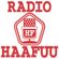Radiohaafuu-hansyuryu-140501 image