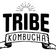 Tribe Kombucha - SAA WOTP Podcast Interview user image