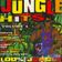 Various - Jungle Hits Volume 1 ( Jungle / Drum n Bass / Raggacore / Breakbeat ) user image