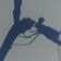 Satellite #323 by Samotham user image