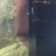 Micro Clear Spot - 21 September 2023 (Samuel Robinson: My Synthetic Thoughts) user image
