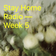 Stay Home Radio - Week 5 user image