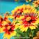 Aural Awakenings: Episode 47 (new age, world & contemporary instrumental music) user image