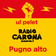 Pugno alto - Pelet user image
