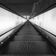 SUBTERRANEAN LIFE Podcast Dicember 2020 user image