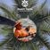 DJ Rob Green LIVE from Villa Tierra Nueva, Tamarindo, Costa Rica 1-7-22 user image