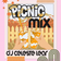 Summer Picnic Mix - DJ Celeste Lear - Remixes/Mashups/House user image