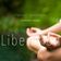 Liberation user image