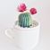 UN CACTUS A L'ENTRACTE - juin 2023 Violetta Alboury et Othello user image