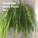 Woodhead - House Plants Vol. I user image