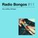 Radio Bongos #11 -  Aka JetBoy Mixtape user image